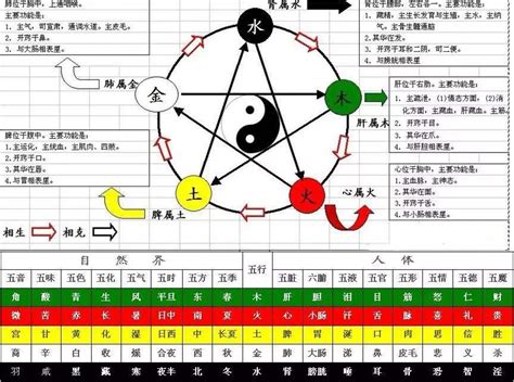 丁火 性格|基础知识︱十天干「丁火」之释义︱特质•契合度•十二支对应性格